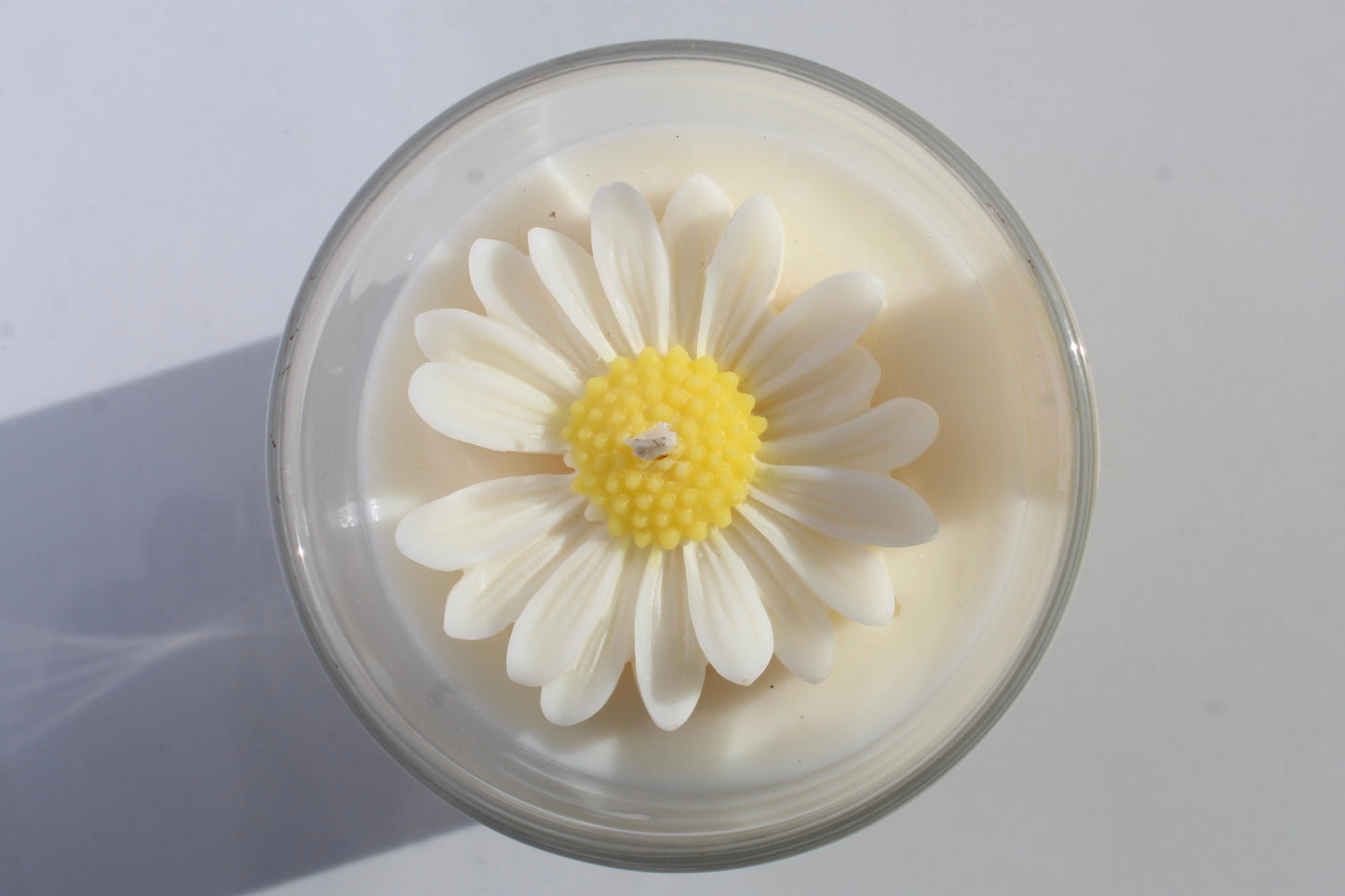 Daisy
